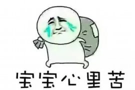 光山工资清欠服务